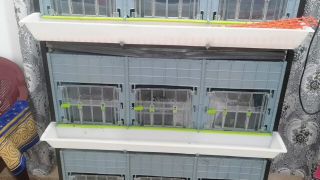 458921327_3837141963209309_6319181068362478272_n
