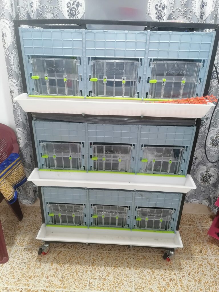 458921327_3837141963209309_6319181068362478272_n