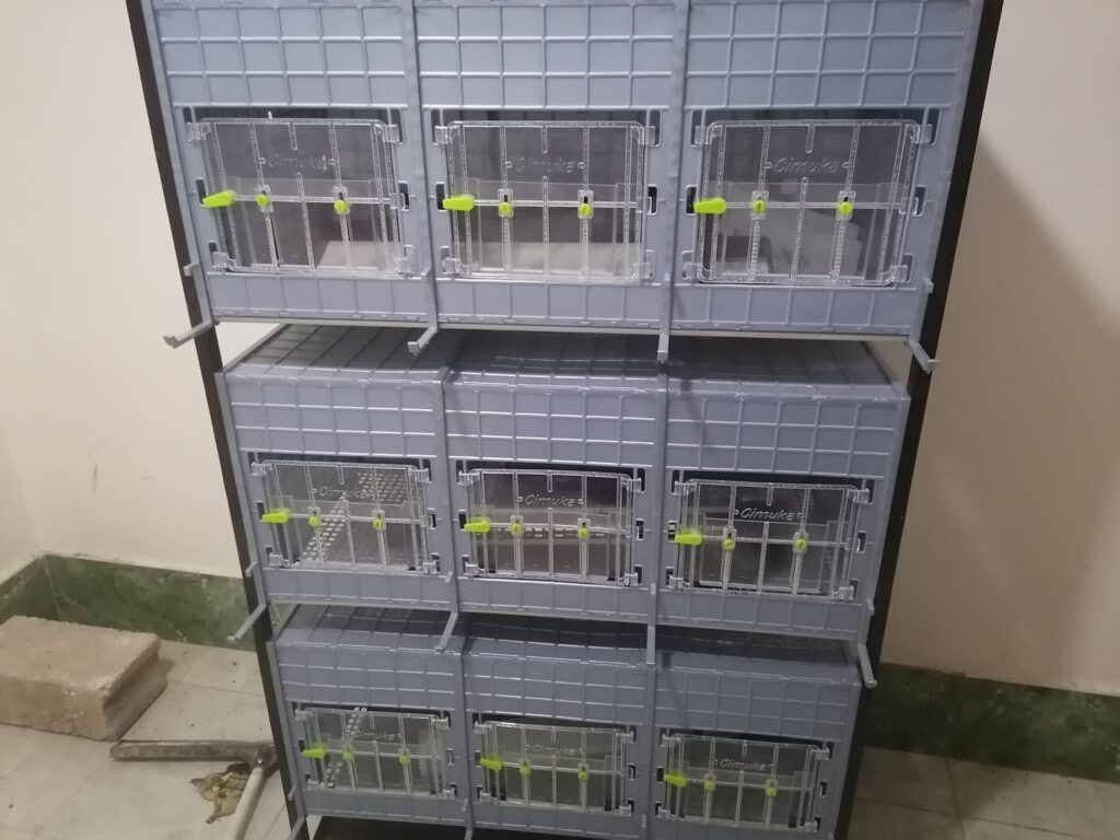 458982574_3837141829875989_412958447019110751_n