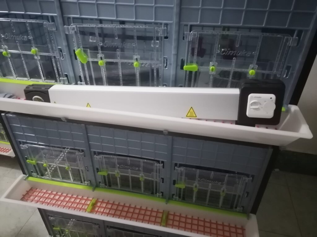 458991117_3837142196542619_5855486958943778809_n