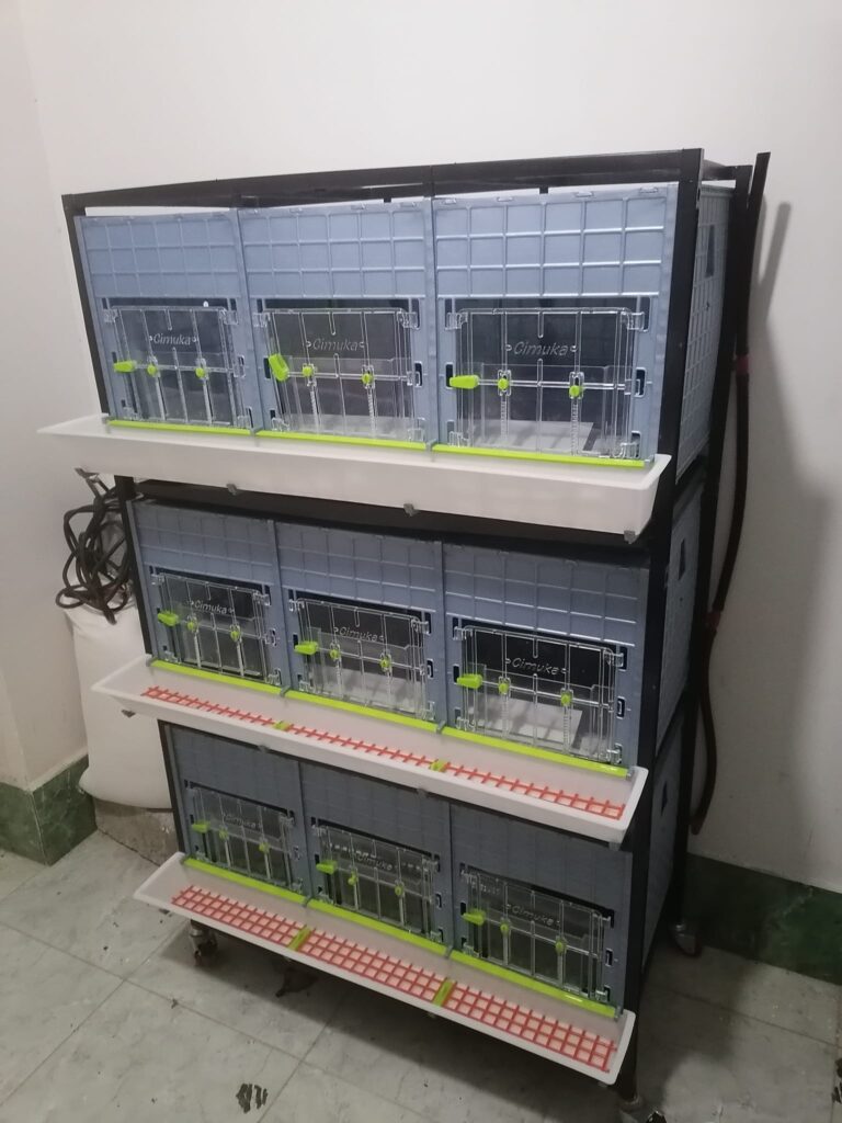 459008198_3837142083209297_7469358885197055061_n