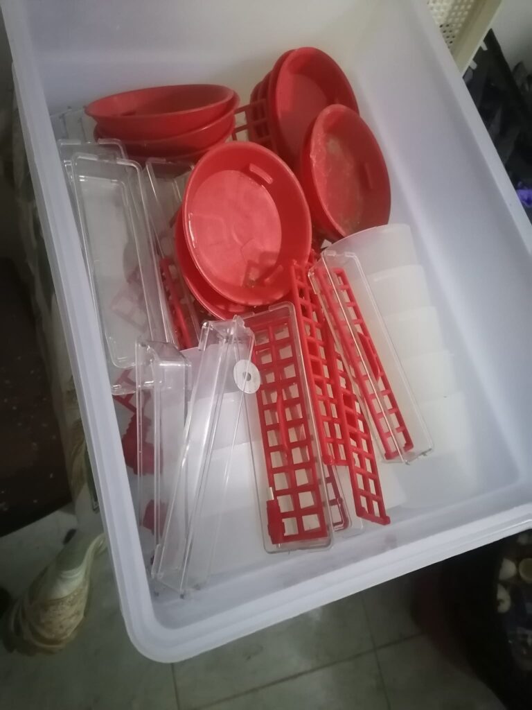 459103006_3837142236542615_1384634144733285064_n