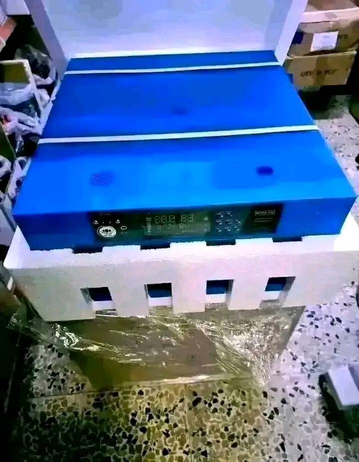 460844575_555798553674509_3555978449964637346_n