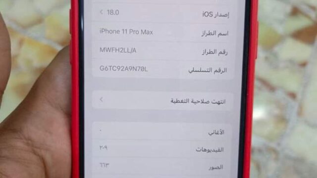 FB_IMG_1729149698044