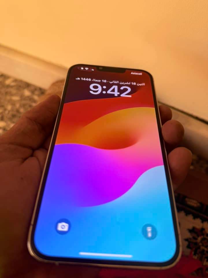 FB_IMG_1731915988754