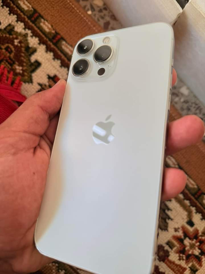 FB_IMG_1731915991785