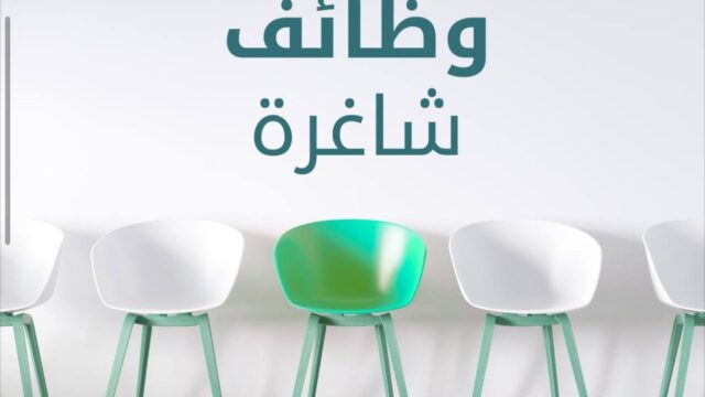 IMG_20241124_185204_999-55