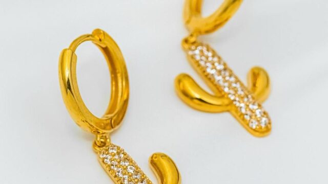 IMG_20241205_102241_825