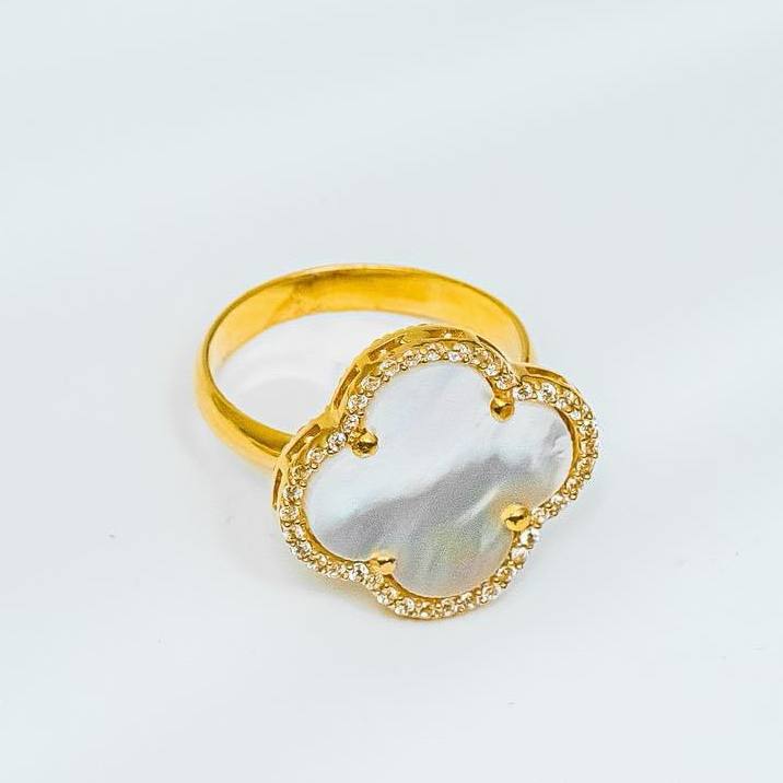 IMG_20241205_102246_893