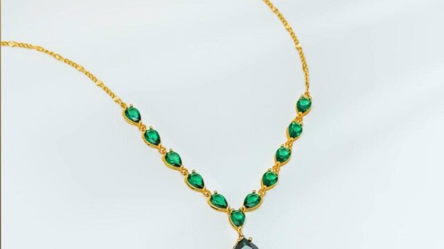 IMG_20241206_095107_721