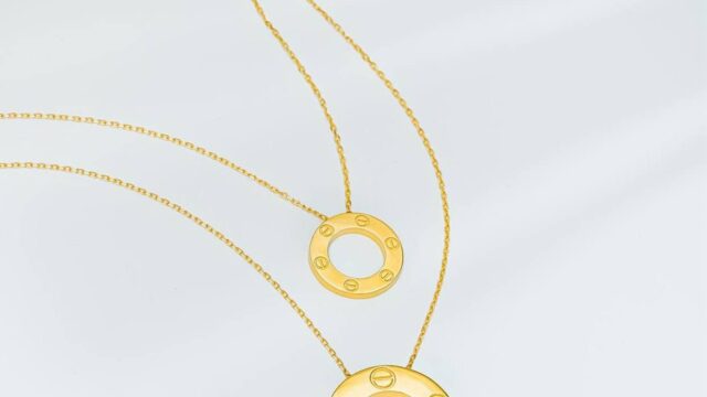 IMG_20241206_095111_653