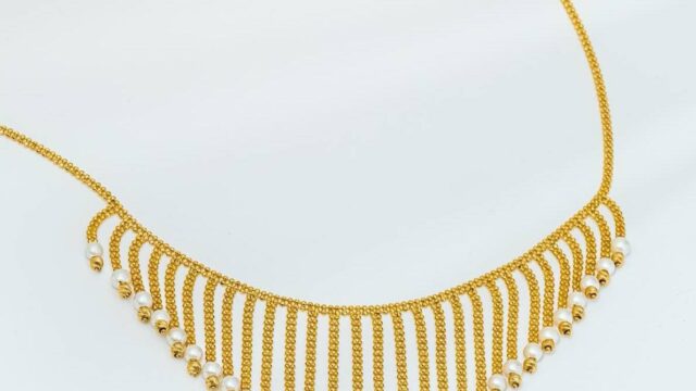 IMG_20241206_095112_364