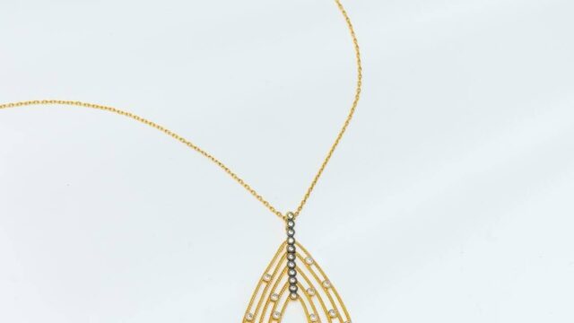 IMG_20241206_095112_431