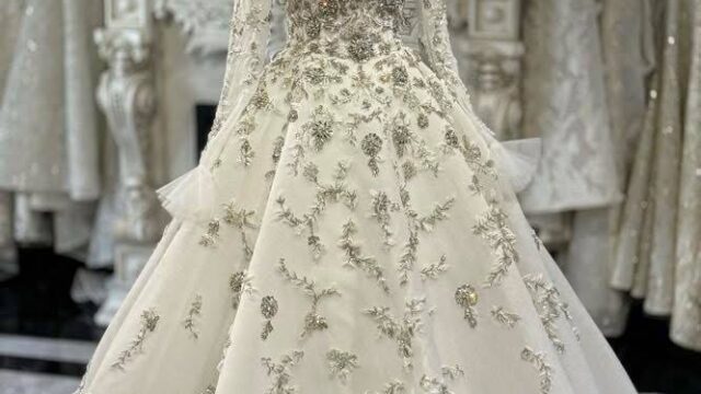 IMG_20241213_122901_361