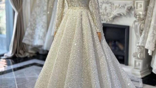 IMG_20241213_144223_177