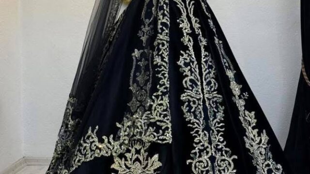 IMG_20241213_155312_026