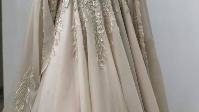 IMG_20241214_102600_282