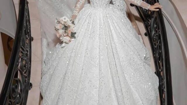 IMG_20241215_183100_572