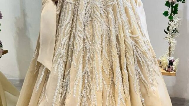 IMG_20241215_193930_463