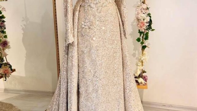 IMG_20241216_182539_829