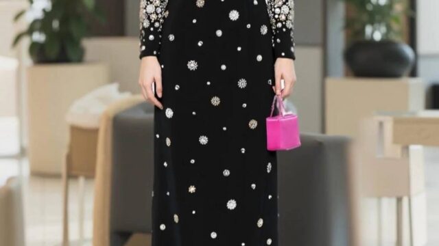 IMG_20241217_191227_638