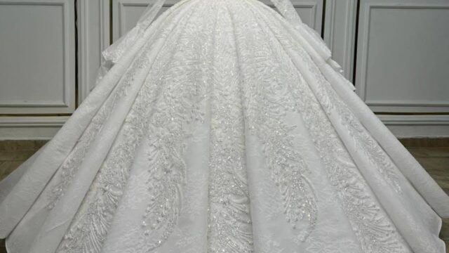 IMG_20241218_172153_279