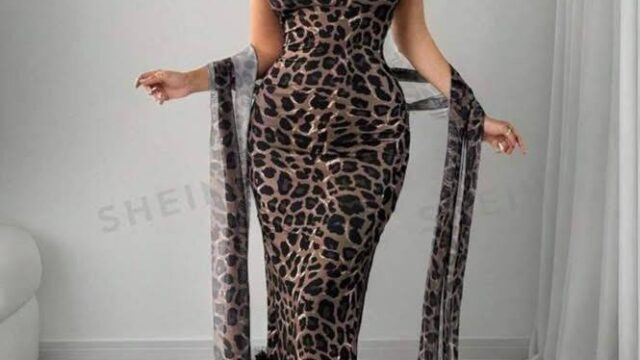 IMG_20241219_192847_911