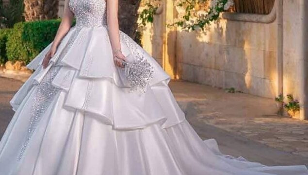 IMG_20241220_174155_748