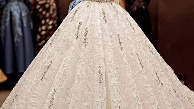 IMG_20241220_174155_852