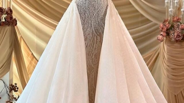 IMG_20241220_192236_037