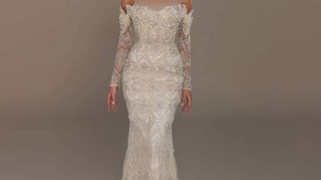 IMG_20241220_202947_239