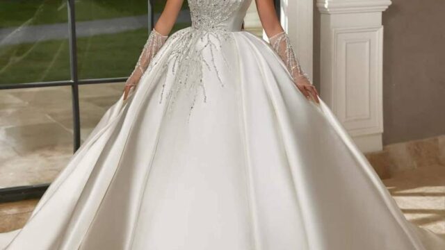 IMG_20241221_100843_865