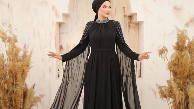 IMG_20241221_104238_385