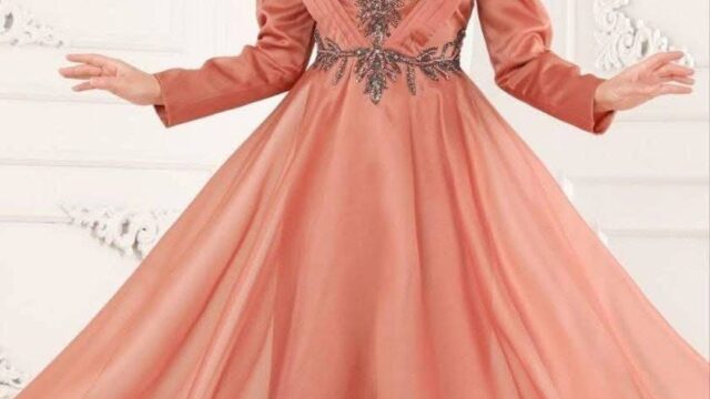 IMG_20241221_104238_592