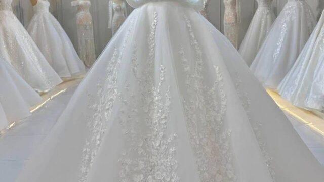 IMG_20241221_110421_900