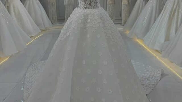 IMG_20241221_110422_092