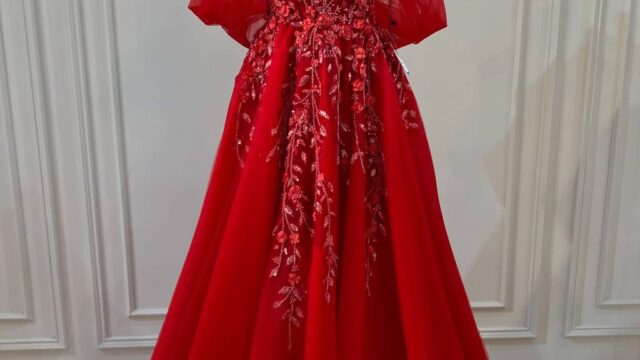 IMG_20241221_112122_474