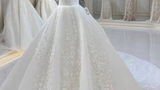 IMG_20241221_114035_922