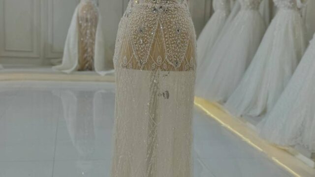 IMG_20241221_114036_262