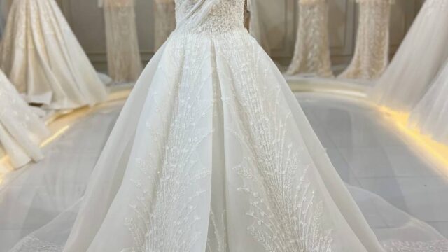 IMG_20241221_114036_388