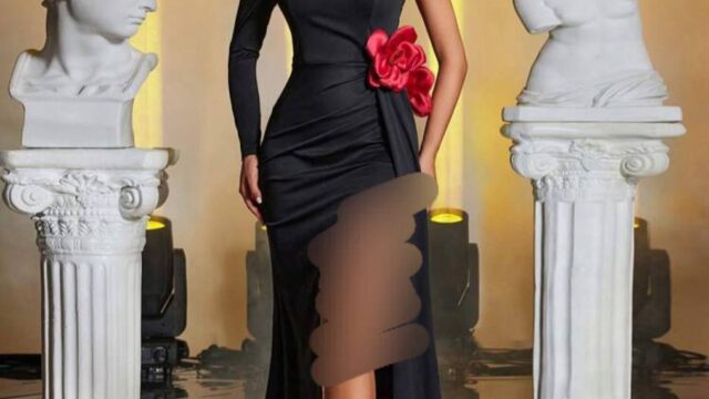 IMG_20241221_182442_709