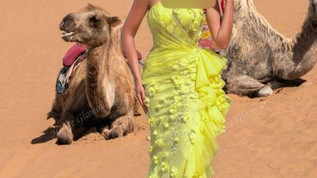 IMG_20241221_192836_265