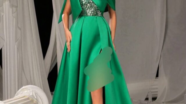 IMG_20241221_204002_435