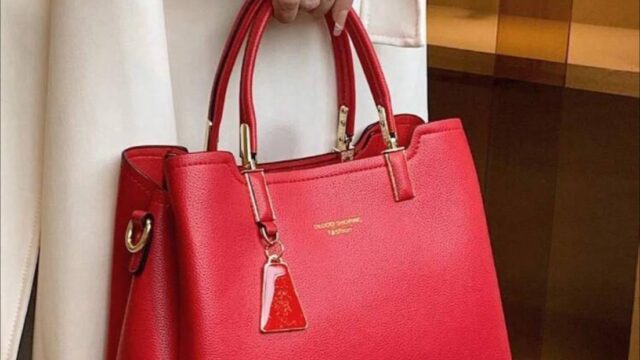 IMG_20241223_191335_157