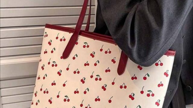 IMG_20241223_191335_361