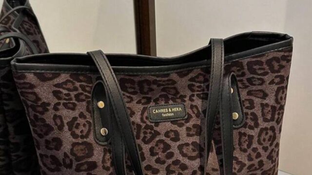 IMG_20241223_195744_261