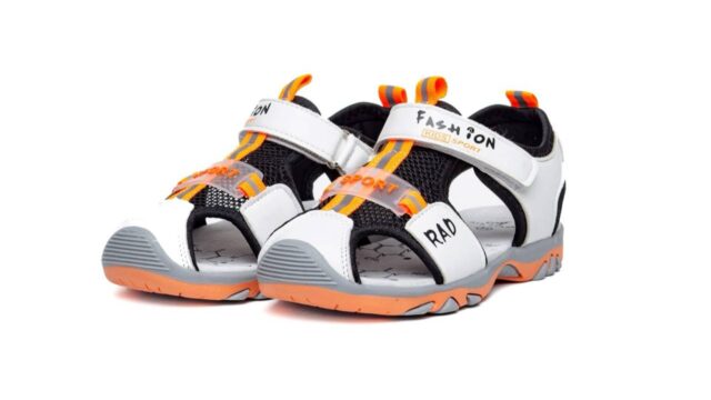 IMG_20241224_180023_659