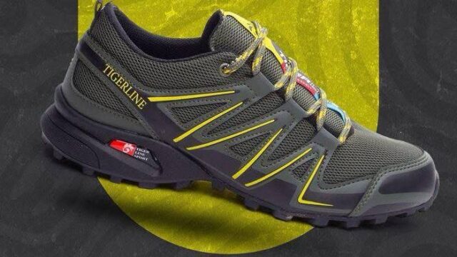 IMG_20241224_180023_922