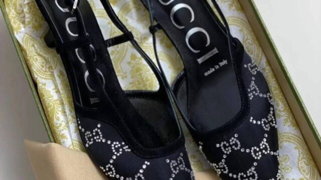 IMG_20241225_103237_238