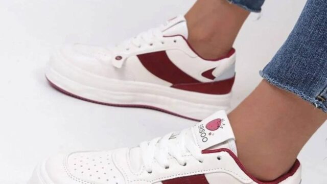 IMG_20241225_103237_526